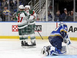 Wild Blues Hockey