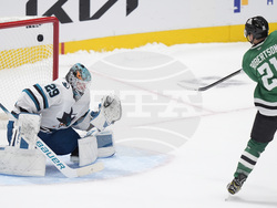 Sharks Stars Hockey