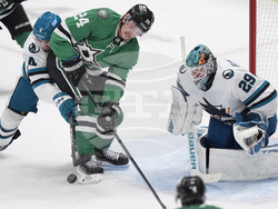 Sharks Stars Hockey