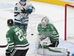Sharks Stars Hockey