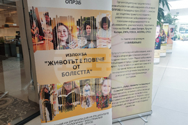 Мегапарк - лупус - изложба