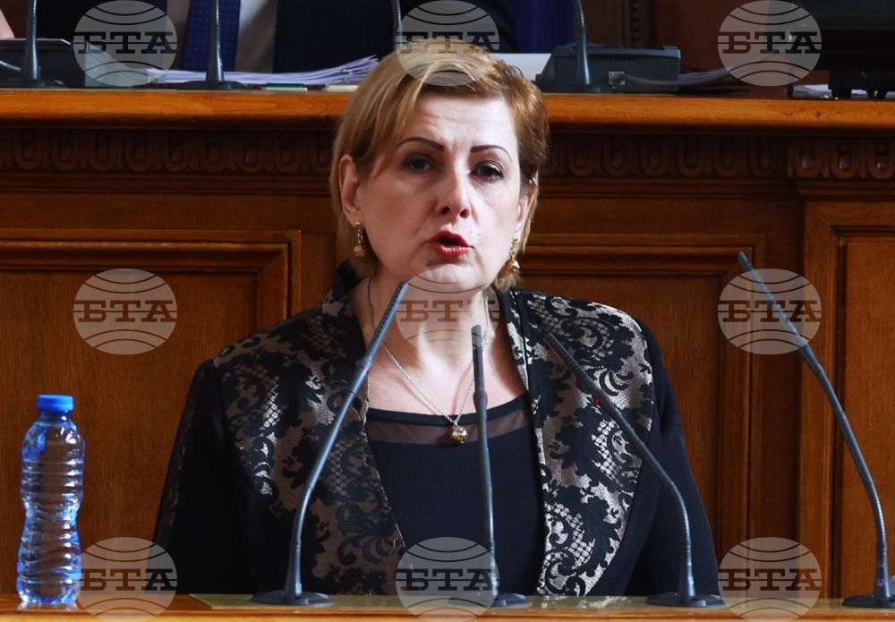 Парламент - заседание - Елена Гунчева