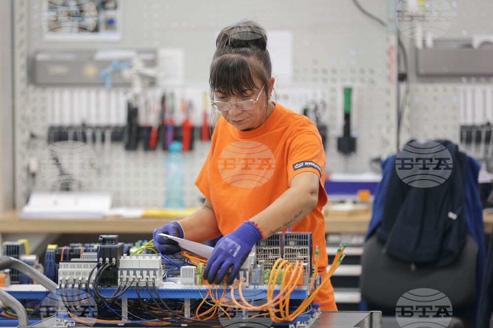 Цените на производител в промишлеността в България се увеличават с 11,3 на сто през януари на годишна основа, съобщи НСИ