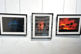 Троян - Дружество на троянските художници - изложба