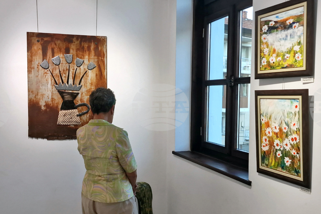 Троян - Дружество на троянските художници - изложба