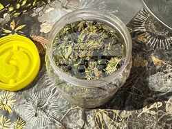 Снимка: Пресцентър МВР