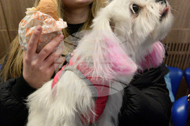 Варна - Център за бежанци от Украйна