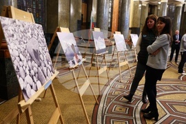 СУ - антарктическата фотоизложба