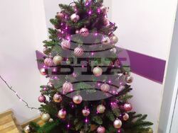 Най-много реакции във фейсбук-Коледното дърво на 8Б клас от ПГДС - Хасково