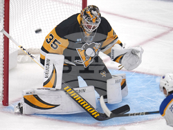Sabres Penguins Hockey