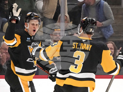 Sabres Penguins Hockey