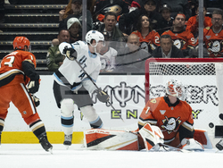 Utah Ducks Hockey