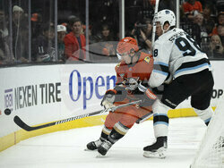 Utah Ducks Hockey