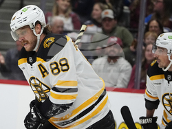 Bruins Avalanche Hockey