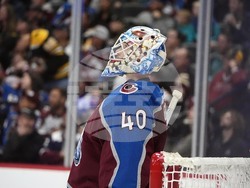 Bruins Avalanche Hockey