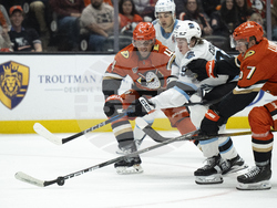 Utah Ducks Hockey