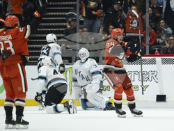 Utah Ducks Hockey