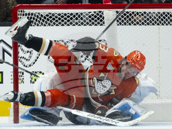 Utah Ducks Hockey
