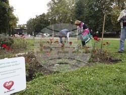 Снимка: Изпълнителна агенция „Медицински надзор“