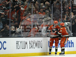 Utah Ducks Hockey