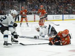 Utah Ducks Hockey
