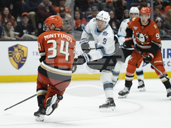 Utah Ducks Hockey
