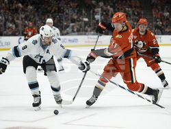 Utah Ducks Hockey