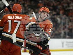 Utah Ducks Hockey