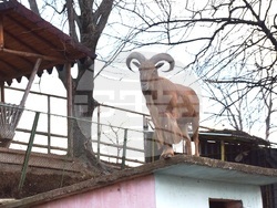 Снимка: Община Благоевград - Родиха се първите бебета за годината в благоевградския зоопарк.
