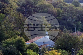 Село Пчеларово - вековен бор