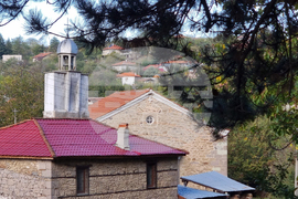 Село Пчеларово - вековен бор