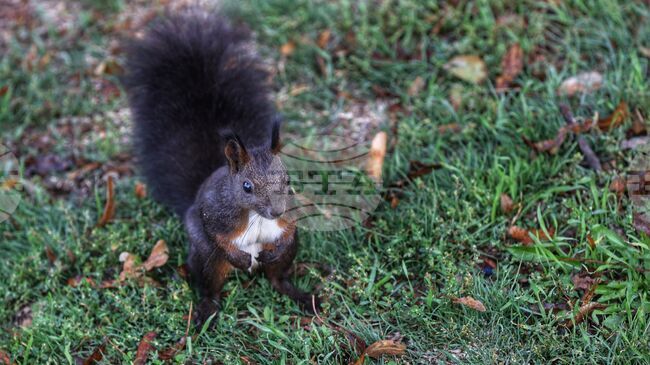 Прогноза за времето