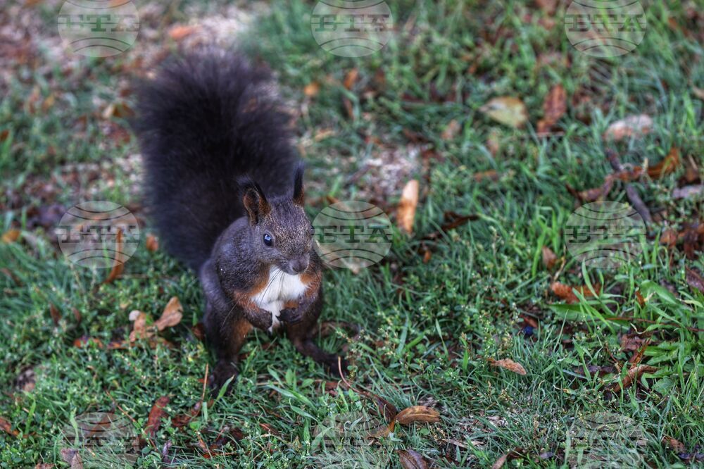 Прогноза за времето