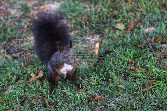 Прогноза за времето