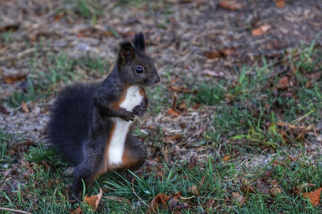 The Weather on March 14