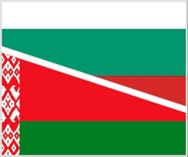 Запазване на връзките и общото културно наследство между Беларус и България бяха дискутирани на кръгла маса в Минск