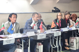 Кюстендил - Илияна Йотова - конференция