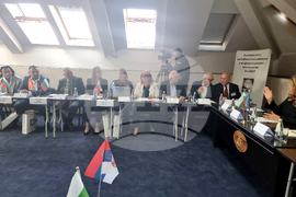 Кюстендил - Илияна Йотова - конференция