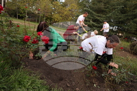 Кампания "Да! за живот!" - донорство - засаждане на рози