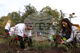 Кампания "Да! за живот!" - донорство - засаждане на рози