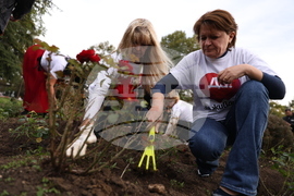Кампания "Да! за живот!" - донорство - засаждане на рози
