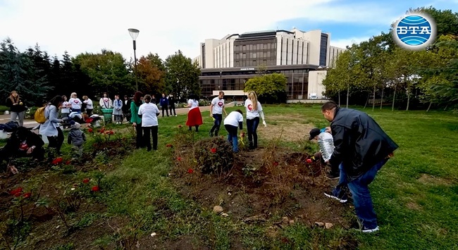 Близки на донори и трансплантирани пациенти засадиха 16 рози в памет на донорите на органи 