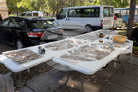 Варна - Регионален исторически музей - пресконференция