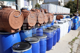 Варна - зеленчукова борса