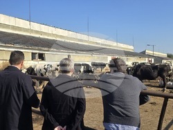 Снимка: Министерство на правосъдието