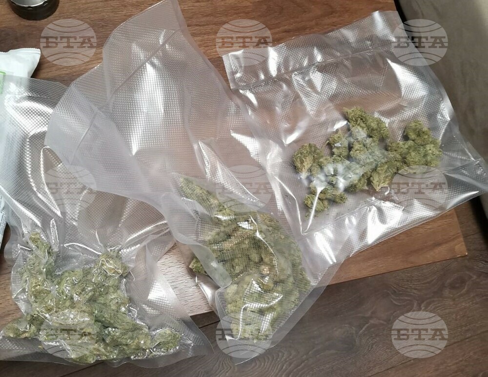 Пловдивски криминалисти задържаха двама мъже в момент на продажба на марихуана