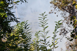 Кърджали - пожар