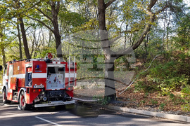 Кърджали - пожар