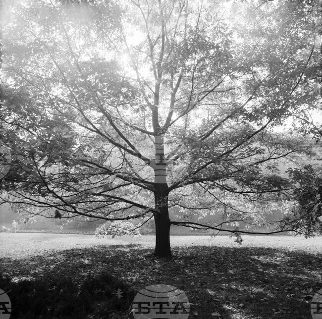 Софийска есен в парка