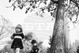 Софийска есен в парка